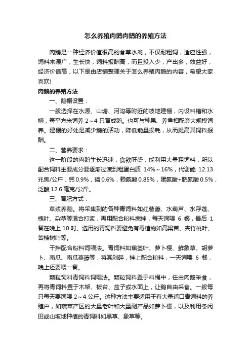 怎么养殖肉鹅肉鹅的养殖方法