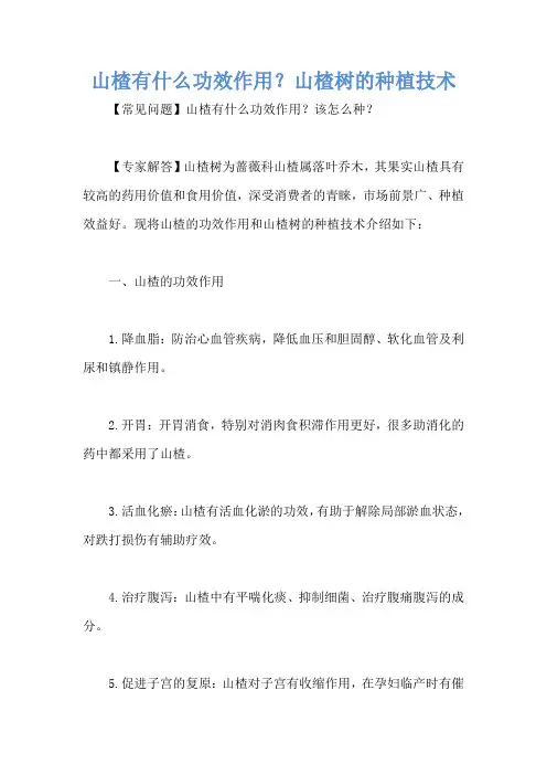 山楂有什么功效作用？山楂树的种植技术