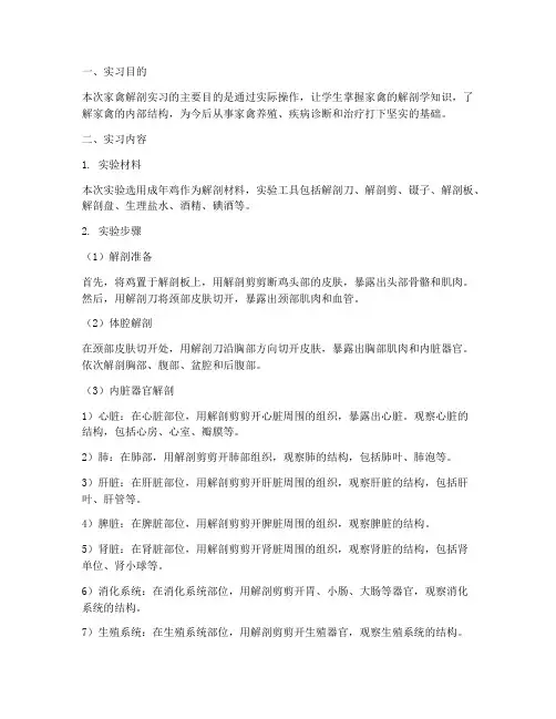 家禽解剖实习报告