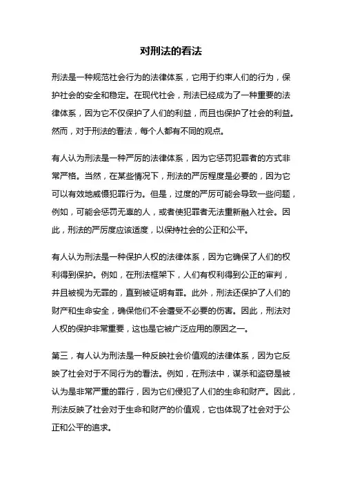 对刑法的看法