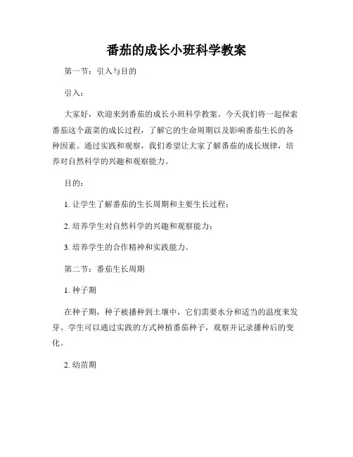 番茄的成长小班科学教案