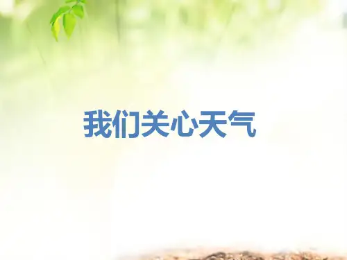 四年级上册科学课件-我们关心天气 教科版(共19张PPT)