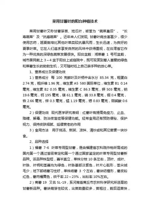 菜用甘薯叶的阳台种植技术