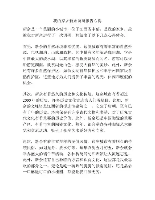 我的家乡新余调研报告心得