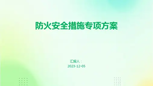 防火安全措施专项方案