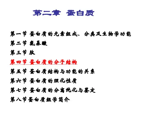 生物化学第一章蛋白质ppt课件