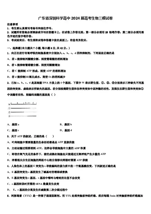 广东省深圳科学高中2024届高考生物三模试卷含解析