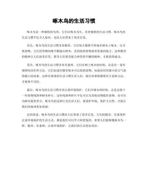 啄木鸟的生活习惯