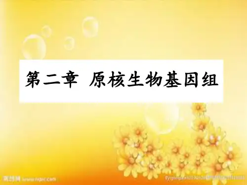 原核生物基因组