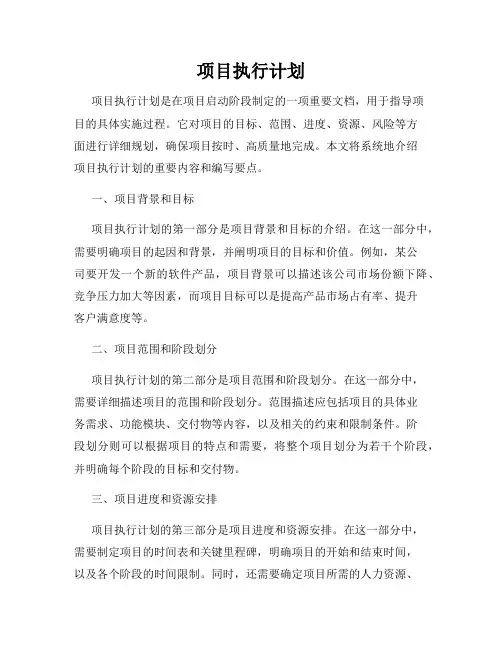 项目执行计划