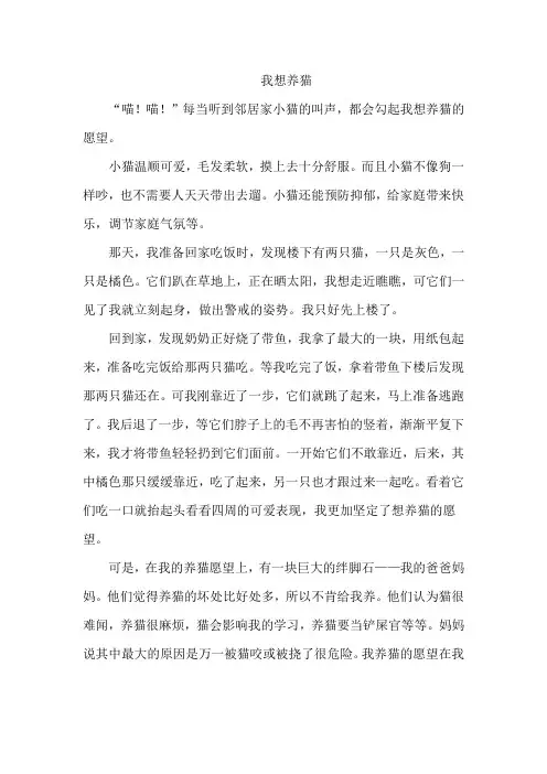 我想养猫作文六年级