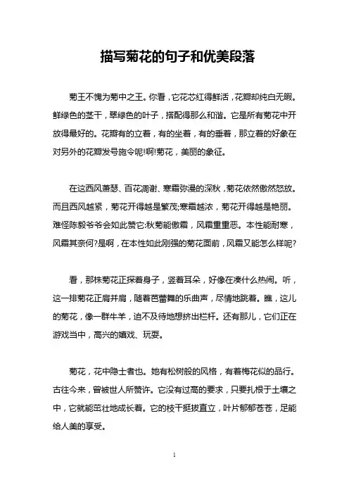 描写菊花的句子和优美段落