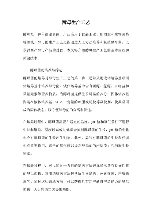 酵母生产工艺