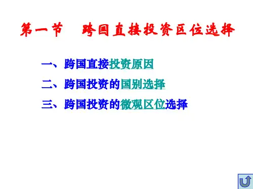 跨国公司区位