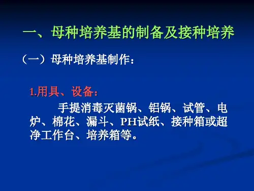 食用菌母种的分离