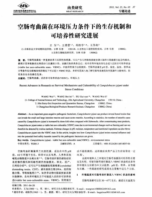 空肠弯曲菌在环境压力条件下的生存机制和可培养性研究进展