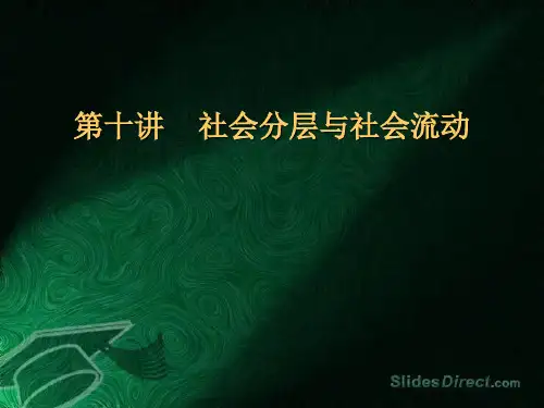 第九讲 社会分层
