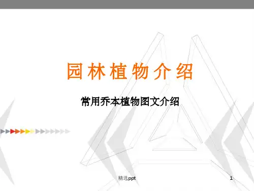 《园林植物介绍》PPT课件