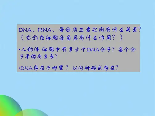 细胞核细胞生物学课件(共158张PPT)