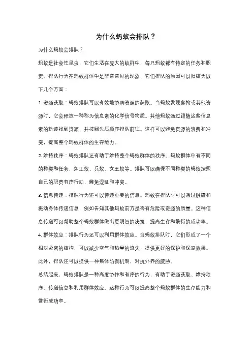 为什么蚂蚁会排队？