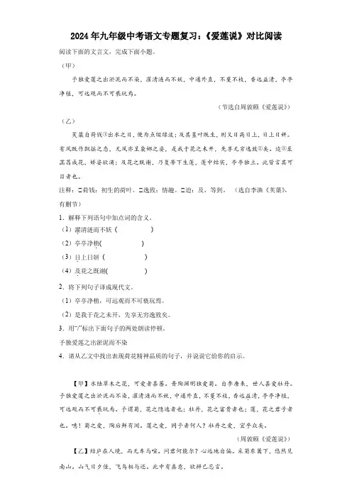 2024年九年级中考语文专题复习：《爱莲说》对比阅读(含答案)