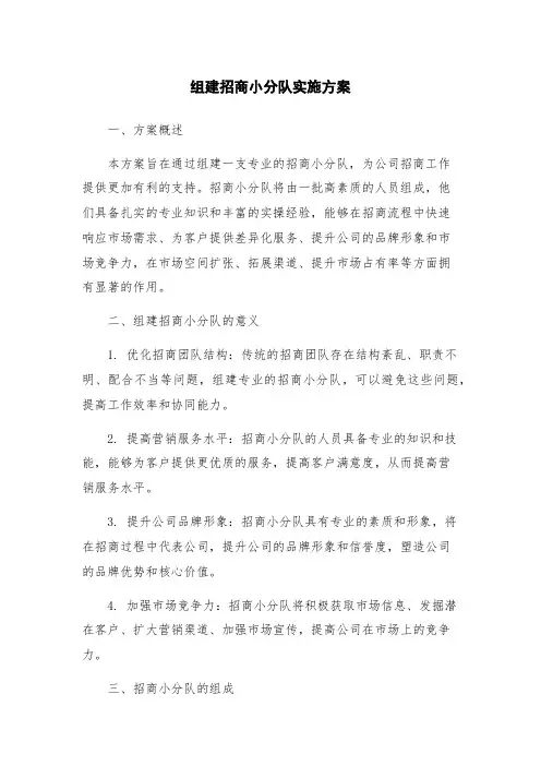 组建招商小分队实施方案