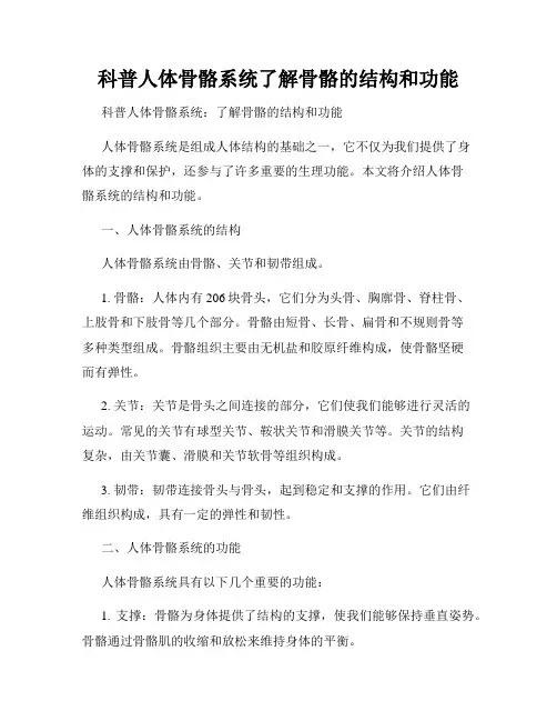 科普人体骨骼系统了解骨骼的结构和功能
