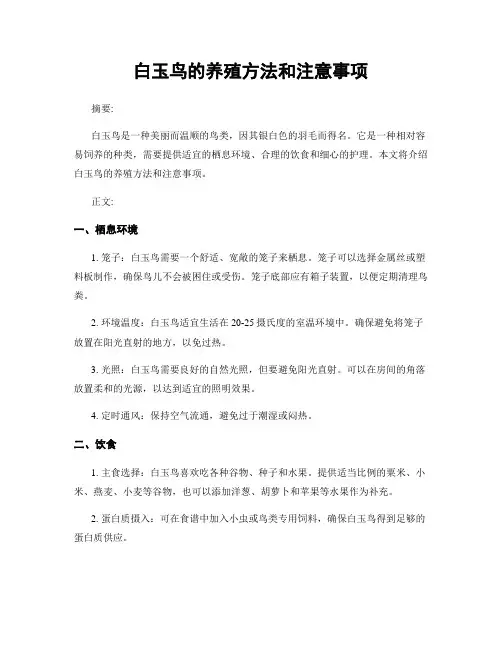 白玉鸟的养殖方法和注意事项