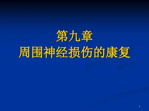 周围神经损伤的康复PowerPoint 演示文稿