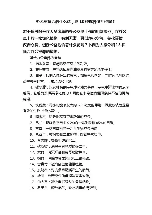 办公室适合养什么花，这18种你养过几种呢？