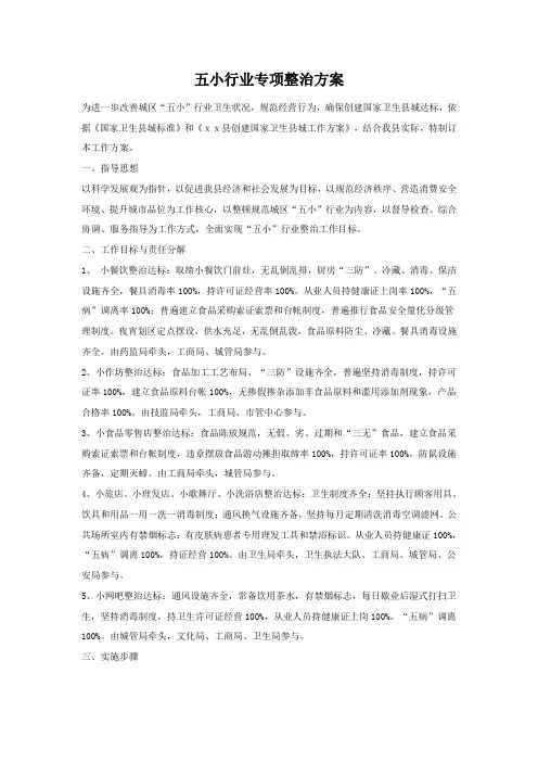五小行业专项整治方案