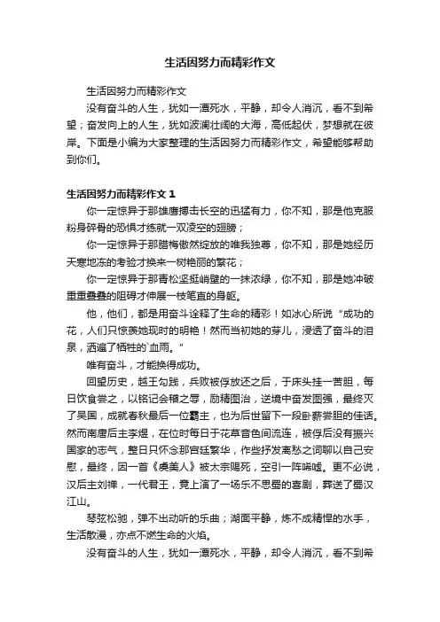 生活因努力而精彩作文