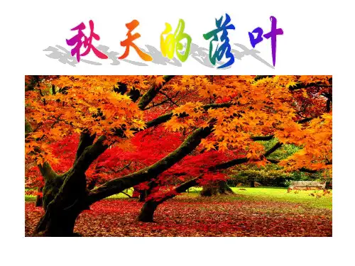 三年级下册美术课件-5.15 秋天的落叶丨岭南版 (共29张PPT)