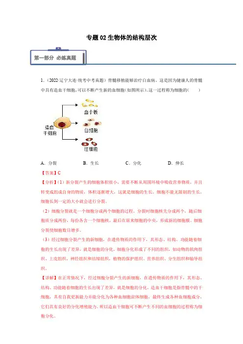 专题复习02 生物体的结构层次(解析版)