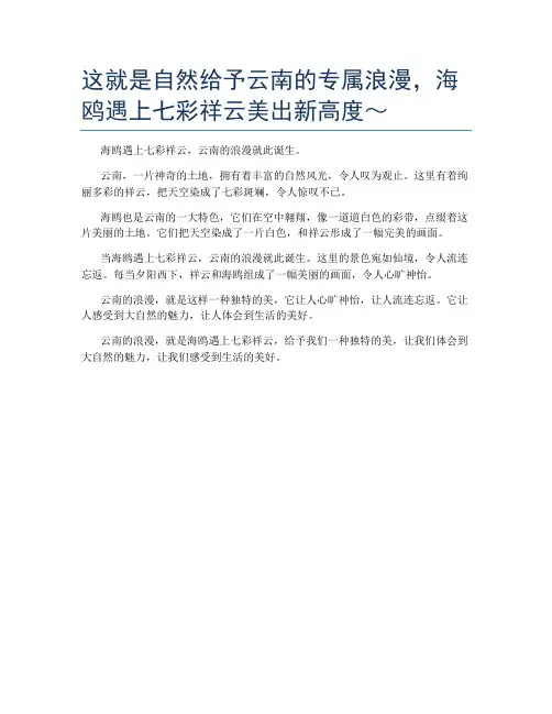 这就是自然给予云南的专属浪漫,海鸥遇上七彩祥云美出新高度～