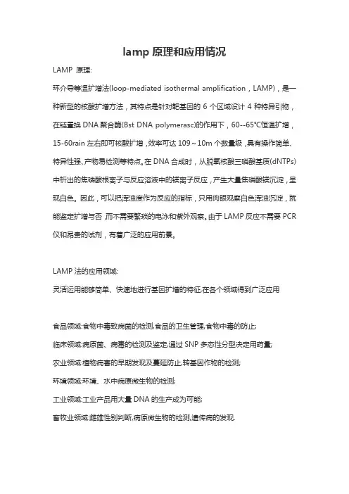 lamp原理