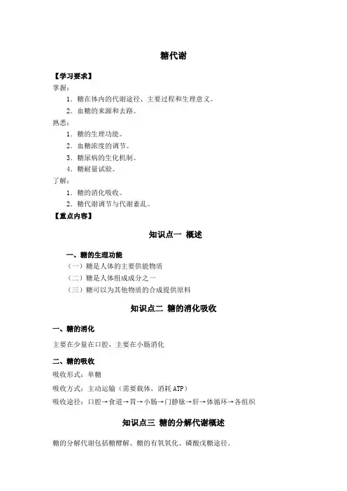 糖代谢知识要点