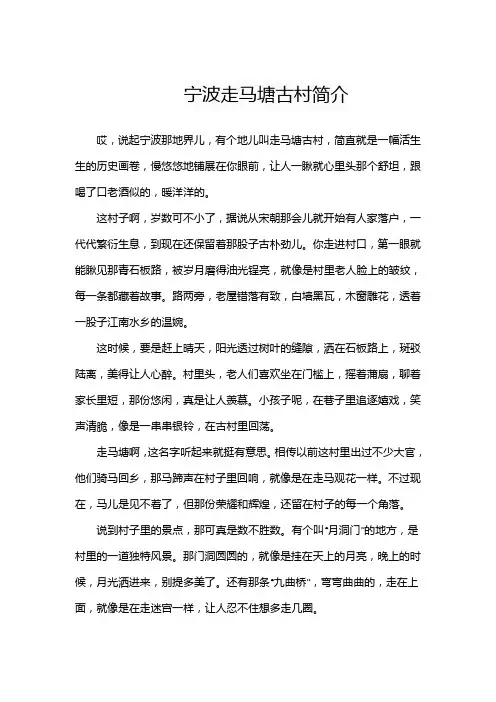 宁波走马塘古村简介