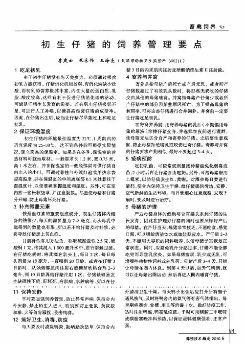 初生仔猪的饲养管理要点