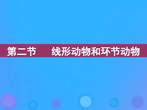 人教版5.1.2《线形动物和环节动物》课件(52张PPT)