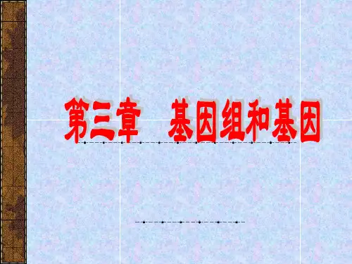 3 基因组和基因