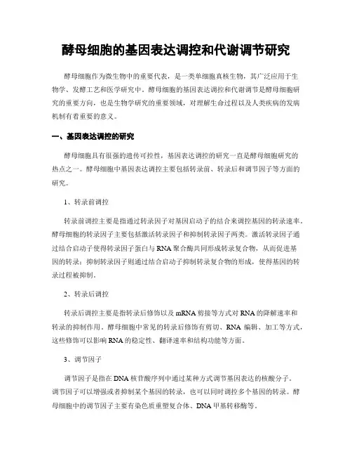酵母细胞的基因表达调控和代谢调节研究