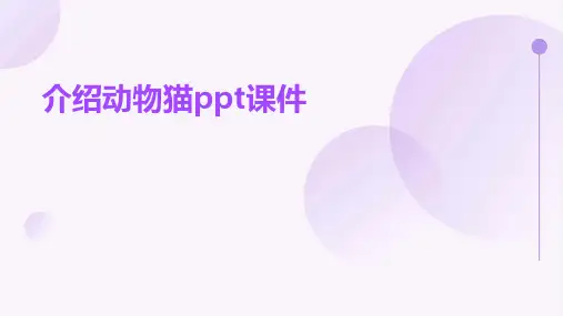 介绍动物猫ppt课件