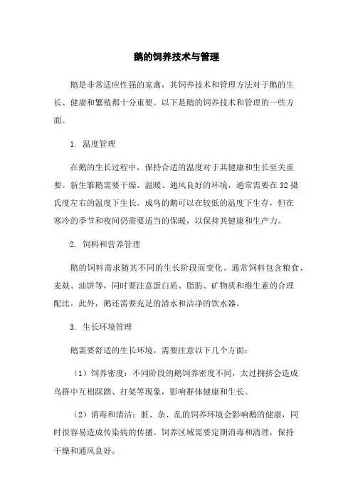 鹅的饲养技术与管理