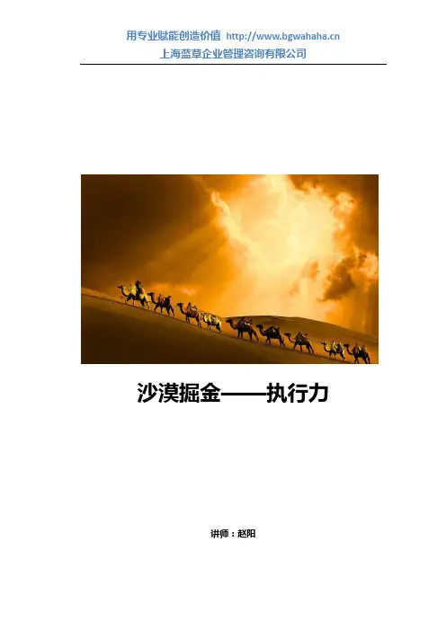 《沙漠掘金——执行力》