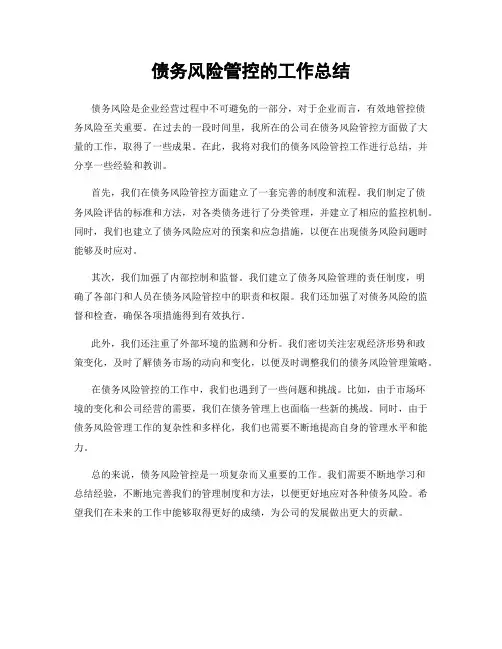 债务风险管控的工作总结