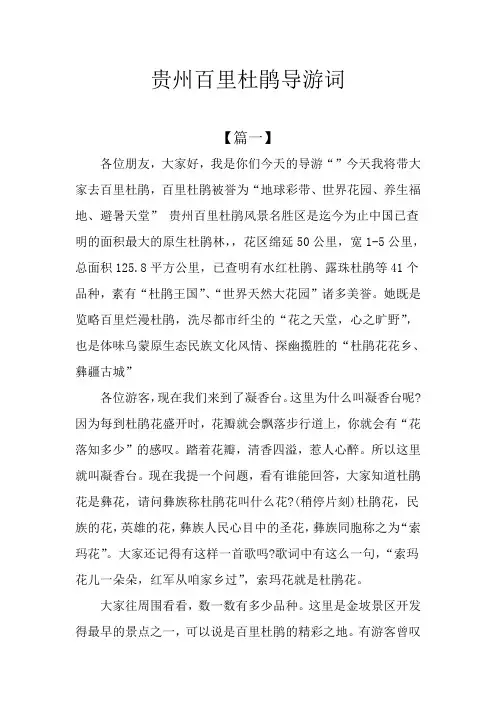 贵州百里杜鹃导游词