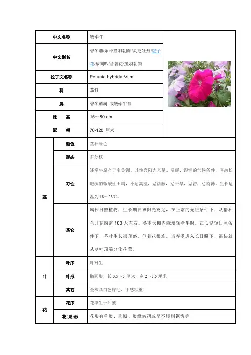 草本花卉观测记载表