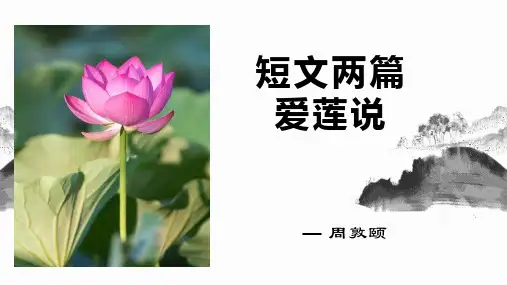 部编版语文七年级下学期——爱莲说 教学PPT