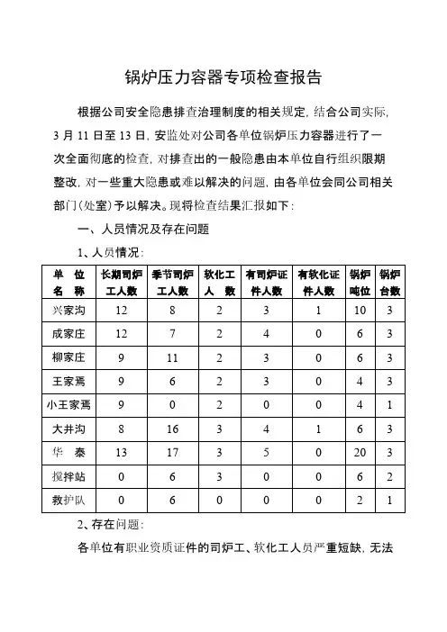 蒸汽锅炉专项检查报告